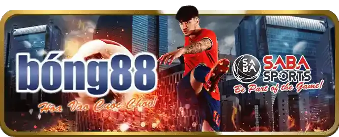 Trải nghiệm di động